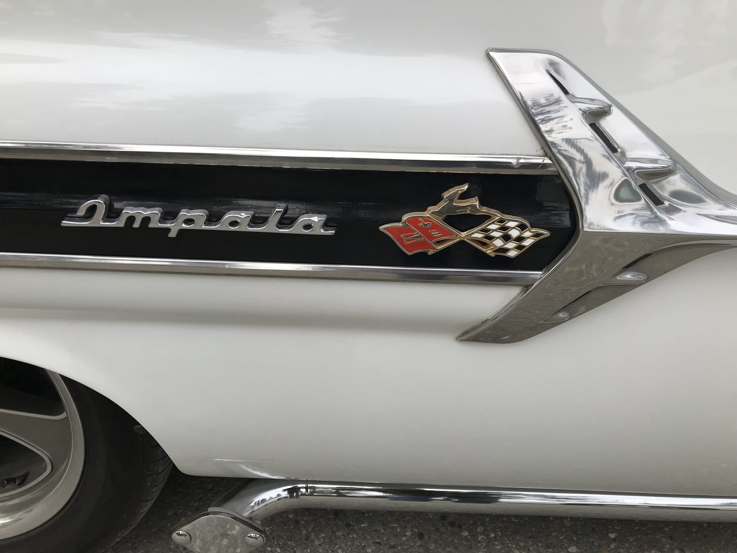 Photo 2024-05-08, 4 46 00 PM